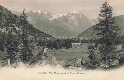 AK / Ansichtskarte Cabane Dupuis Grand-Combin Val-Champex Bergsee Wald Wiesen Alpen Schneeberge Tannen