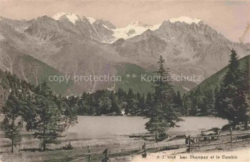 AK / Ansichtskarte Lac Champex Entremont VS Lac-Champex Grand-Combin Bergsee Wald Alpen Schneeberge Tannen Weide