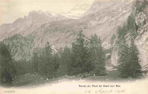 AK / Ansichtskarte Pont-de-Nant Bex AIGLE VD Pont-de-Nant Berge Tannen Felsschlucht Gebirgsweg Gletscher Wald