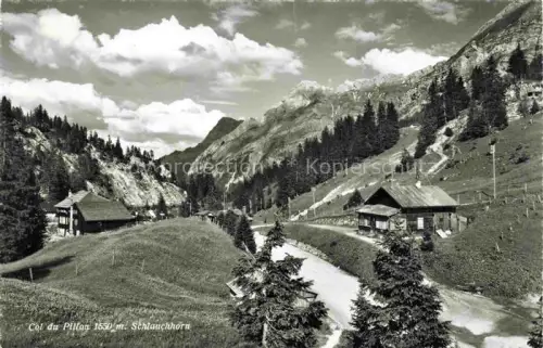 AK / Ansichtskarte Col-du-Pillon 1546m VD Col-du-Pillon Schlauchhorn Passstrasse Bergpass Chalets Tannen Berge