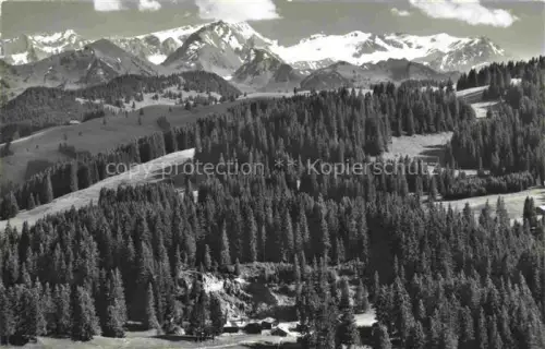 AK / Ansichtskarte Jaunpass La Gruyere FR Jaunpass Wildhorn Arpelistock Tannenwald Bergpass Berge Schneeberge Weide