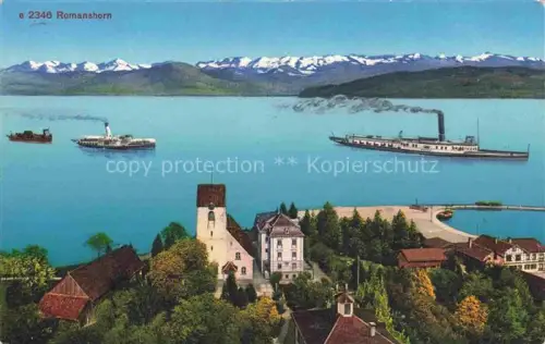 AK / Ansichtskarte ROMANSHORN Bodensee TG Bodensee Romanshorn Dampfschiffe Hafen Kirche Alpen Seepanorama