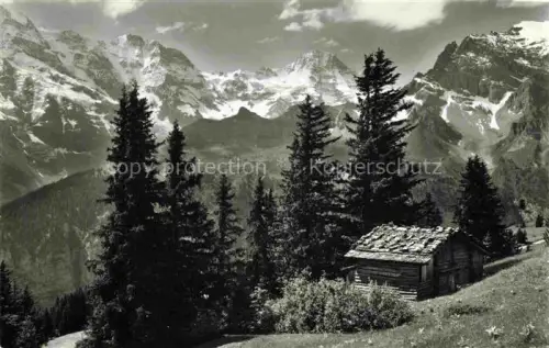 AK / Ansichtskarte Grosshorn Muerren Grosshorn Breithorn Tschingelfluehe Berglandschaft Alphuette Nadelwald Schneeberge Lauterbrunnen