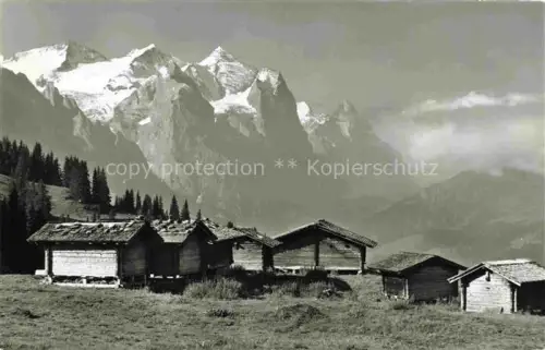AK / Ansichtskarte Maegisalp Meiringen Hasliberg BE Maegisalp Wetternorngruppe Eiger Alphuetten Bergwiese Nadelwald Schneeberge Hasliberg