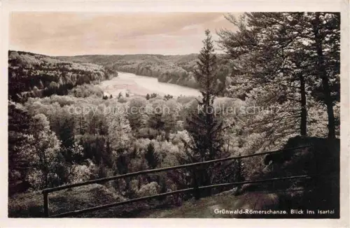 AK / Ansichtskarte Gruenwald Muenchen Roemerschanze Isartal Isar Fluss Wald Aussichtspunkt Nadelwald