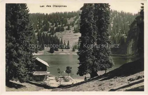 AK / Ansichtskarte Gryon AIGLE VD Lac-des-Charonnes See Wald Berghuette Nadelwald Alpen