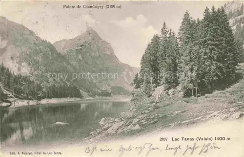 AK / Ansichtskarte Tanay Vouvry VS Lac-Tanay Pointe-de-Chambayry See Berge Tannenwald Spiegelung