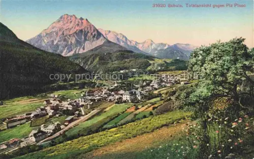 AK / Ansichtskarte Schuls Scuol GR Piz-Pisoc Totalansicht Talblick Bergdorf Wiesen Alpen