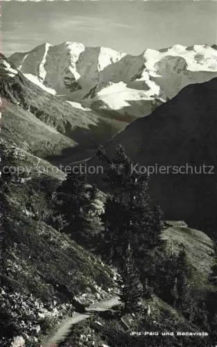 AK / Ansichtskarte Piz Palue 3905m GR Piz-Palue Bellavista Gletscher Bergpfad Nadelwald Tal Bergmassiv Schnee