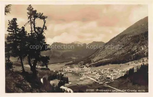 AK / Ansichtskarte Pontresina Maloja GR Crasta-mora Tal Bergdorf Wald Berge Haeuser Baeume Kirche