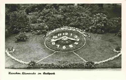AK / Ansichtskarte Hainichen Sachsen Blumenuhr Stadtpark Park Blumen Rasenflaeche