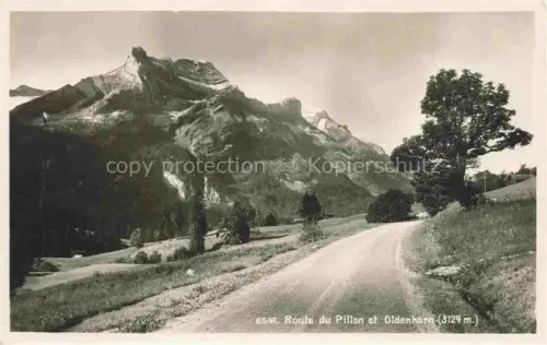 AK / Ansichtskarte Oldenhorn 3123m Les Diablerets VD Route-du-Pillon Oldenhorn Bergstrasse Alpen Berglandschaft Baum Wiesen Felsen