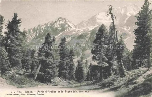 AK / Ansichtskarte Arolla Herens VS Forêt-d Arolles Pigne-d Arolla Laerchenwald Gletscher Bergwiese Nadelwald Schneeberge