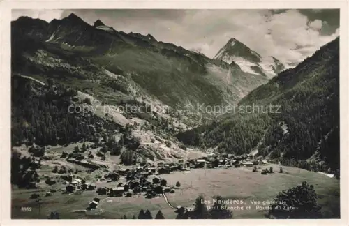 AK / Ansichtskarte Les Hauderes Herens VS Vue-générale Dent-Blanche Pointe-du-Zaté Val-d Hérens Alpendorf Bergpanorama Tannenwald Wiesen