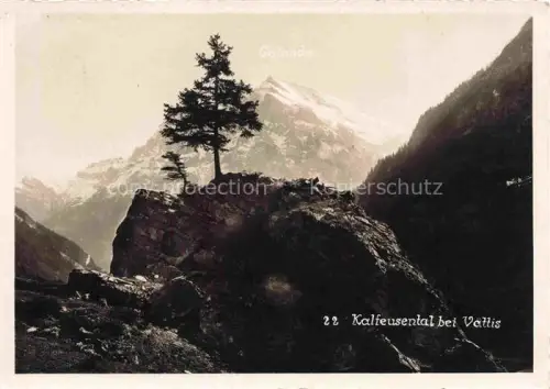 AK / Ansichtskarte Kalfeusental Calfeisental Calfeisenthal Vaettis SG Kalfeusental Calanda Bergtal Felsen Baum Berge Schnee Wald