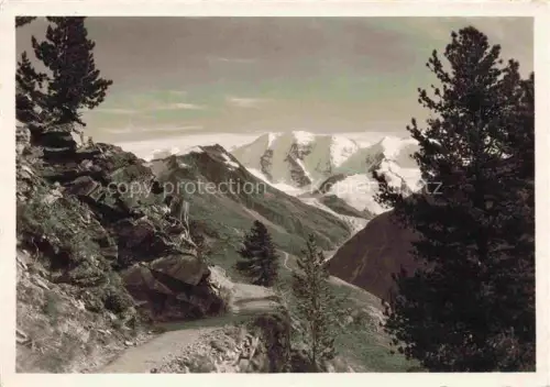 AK / Ansichtskarte Ospizio Bernina GR Berninapass Gletscher Bergpfad Zirbelkiefer Berge Schnee Hotel-Berninahospiz
