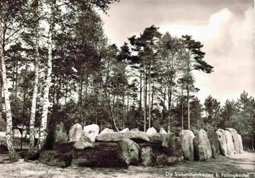 AK / Ansichtskarte Fallingbostel Bad Soltau-Fallingbostel Niedersachsen Siebensteinhaeuser Megalith Lueneburger-Heide Findlinge Birken Kiefern Heidedorf