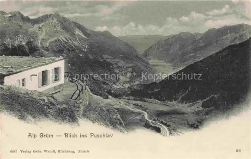 AK / Ansichtskarte Alp Gruem Bernina GR Alp-Gruem Puschlav Berninagebiet Berghuette Tal Berge Wald