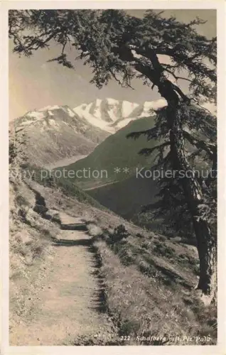 AK / Ansichtskarte Piz Palue 3905m GR Schafberg Piz-Palue Bergpfad Laerche Tal Gletscher Schnee Berglandschaft