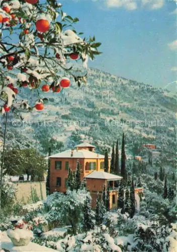 AK / Ansichtskarte Garavan MENTON 06 Alpes-Maritimes Villa Schnee Orangenbaum Mandarinen Zypressen Berg Winter Garten