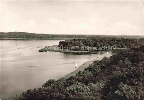 AK / Ansichtskarte Pfaueninsel BERLIN See Segelboote Wald Baumgruppe Ufer Havel Insel