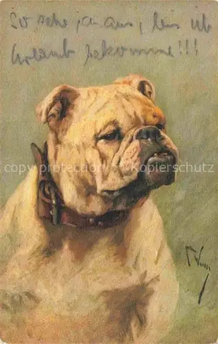 AK / Ansichtskarte HUNDE dogs chiens-- 