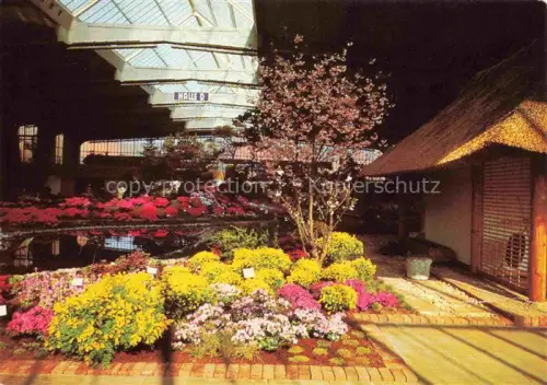 AK / Ansichtskarte IGA Gartenbauaustellung International Hamburg Grosse Hallen Sonderschau 