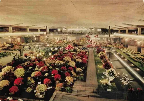 AK / Ansichtskarte IGA Gartenbauaustellung International Hamburg Hallen Blumen Flower Exhibition Expo fleur 