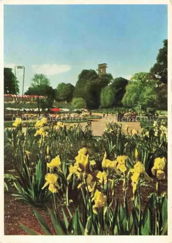 AK / Ansichtskarte IGA Gartenbauaustellung International Hamburg Planten Blomen Iristal 