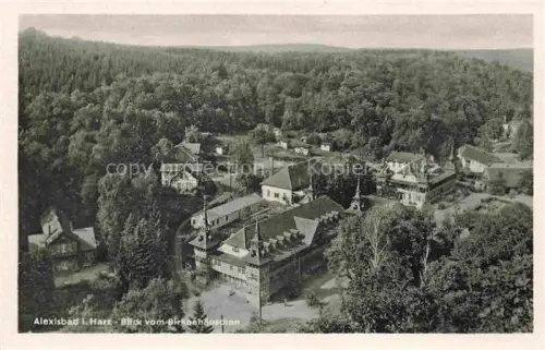 AK / Ansichtskarte Alexisbad Harz Blick-vom-Birkenhaeuschen Waldgebiet Ortschaft Haeuser Hotel Kirche Wald Baeume