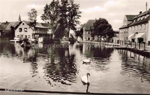 AK / Ansichtskarte Pleystein Neustadt Waldnaab Bayern Weiher Schwaene Dorfansicht Wohnhaeuser Kirchturm Baeume Spiegelung