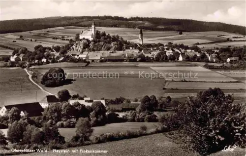 AK / Ansichtskarte Pleystein Neustadt Waldnaab Bayern Finkenkammer Stadtansicht Wallfahrtskirche Felsen Felder Wald Oberpfaelzer-Wald Kirchturm