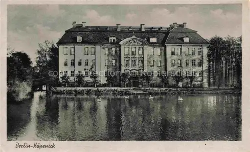 AK / Ansichtskarte KoePENICK Coepenick Coepenick TREPTOW-KoePENICK BERLIN Schloss-Koepenick See Schwaene Spiegelung Barockschloss Baeume
