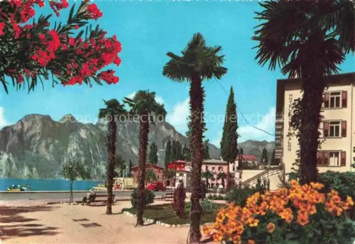 AK / Ansichtskarte Torbole Lago di Garda Trento IT Gardasee Lago-di-Garda Palmen Oleander Hotel-Braldo Promenade Berge Blumen