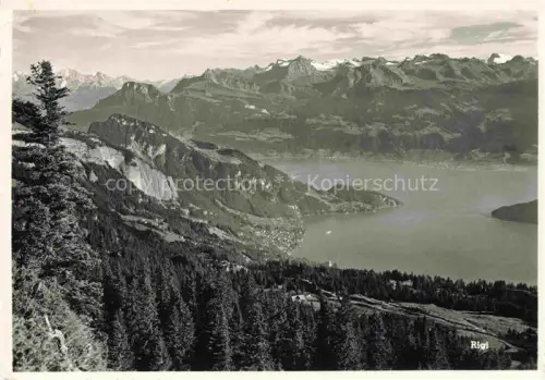 AK / Ansichtskarte RIGI-Kaltbad LU Vierwaldstaettersee Vitznau Urner-Alpen Unterwaldner-Alpen Bergwald Seeufer Felsen