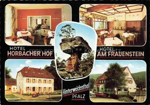 AK / Ansichtskarte Hinterweidenthal Rheinland-Pfalz Hotel-Horbacher-Hof Hotel-am-Frauenstein Teufelstisch Felsformation Restaurant Gaststube Aussenansicht