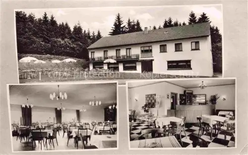 AK / Ansichtskarte Altenkirchen Pfalz Kusel Rheinland-Pfalz Hotel-Pension-Johannisberg Terrasse Sonnenschirme Festsaal Restaurant Schachboden Wald Nadelwald