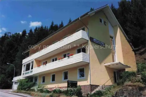 AK / Ansichtskarte Altenkirchen  Westerwald Rheinland-Pfalz Hotel-Pension-Johannisberg Terrasse Sonnenschirme Festsaal Restaurant Schachboden Wald Nadelwald