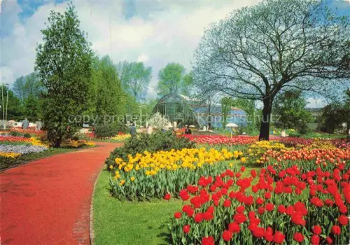 AK / Ansichtskarte IGA Gartenbauaustellung International Hamburg Bluetenmeer am Tulpenhaus 