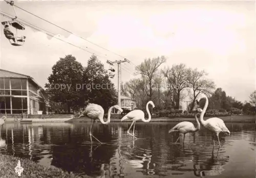 AK / Ansichtskarte BUGA Bundesgartenschau Koeln Flamingo Teich Sesselbahn