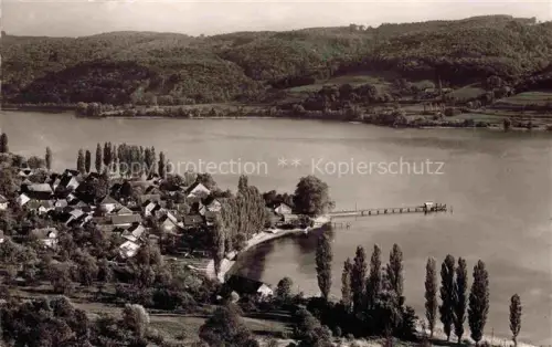 AK / Ansichtskarte Wangen Untersee Bodensee Untersee Bodensee See Dorf Steg Pappeln Huegel Panorama