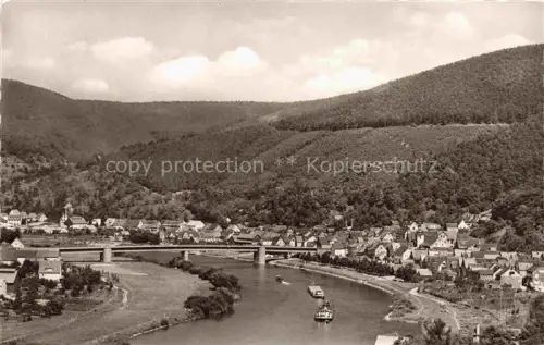 AK / Ansichtskarte Freudenberg Main Baden BW Main Bruecke Fluss Ortschaft Huegel Wald Dampfer