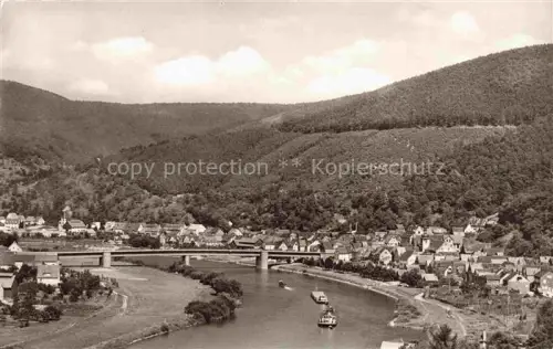 AK / Ansichtskarte Freudenberg Main Baden BW Main Bruecke Fluss Ortschaft Huegel Wald Dampfer