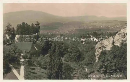 AK / Ansichtskarte Birseck Arlesheim BL Schloss-Birseck Turm Tal Felsen Ortschaft Wald