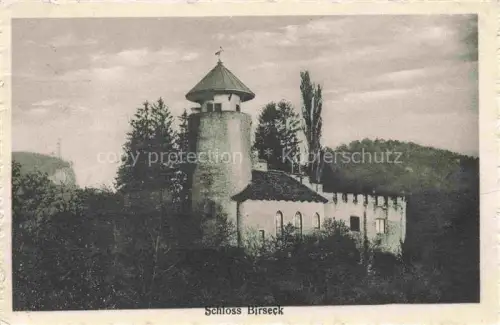 AK / Ansichtskarte Birseck Arlesheim BL Schloss-Birseck Turm Burg Baeume Arlesheim