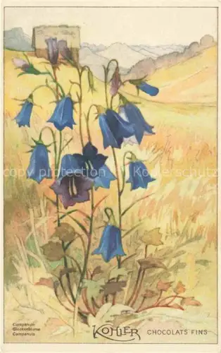 AK / Ansichtskarte KoeHLER Mela Kuenstlerkarte Glockenblume 