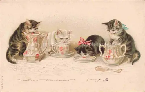 AK / Ansichtskarte KATZEN Cats Chats Gatos Gatti-- 