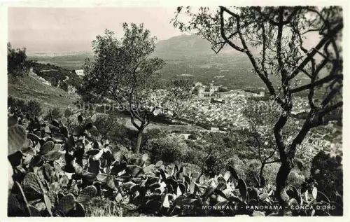 AK / Ansichtskarte Monreale Palermo Sicilia IT Conca-d Oro Panorama Kaktus Baeume Kathedrale Stadtansicht Berge Tal