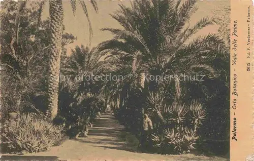 AK / Ansichtskarte PALERMO  Sicilia IT Orto-Botanico Viale-delle-Palme Palmen Parkweg Kakteen botanischer-Garten Spaziergaenger