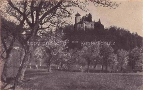 AK / Ansichtskarte Arlesheim BL Schloss-Birseck Burgturm Baeume Obstbaeume Fruehjahrlandschaft Huegel